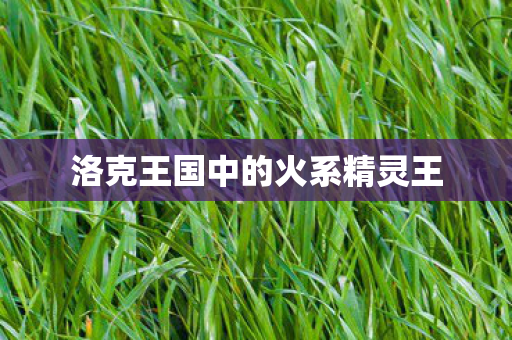 洛克王国中的火系精灵王