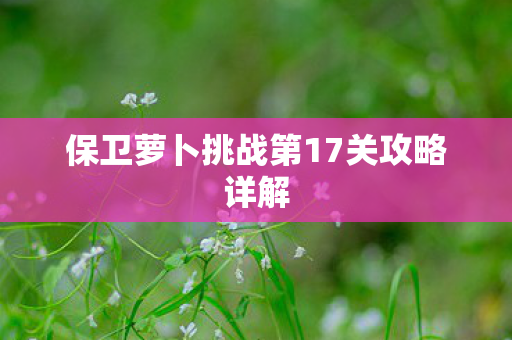 保卫萝卜挑战第17关攻略详解