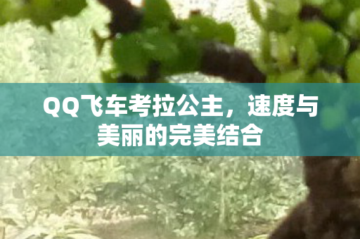 QQ飞车考拉公主，速度与美丽的完美结合
