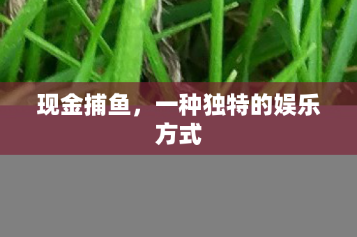 现金捕鱼，一种独特的娱乐方式