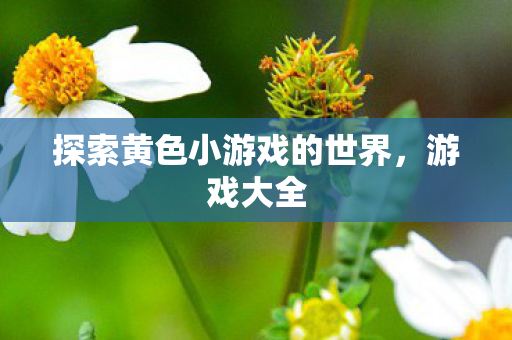 探索黄色小游戏的世界，游戏大全