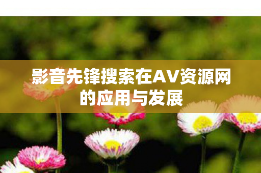 影音先锋搜索在AV资源网的应用与发展