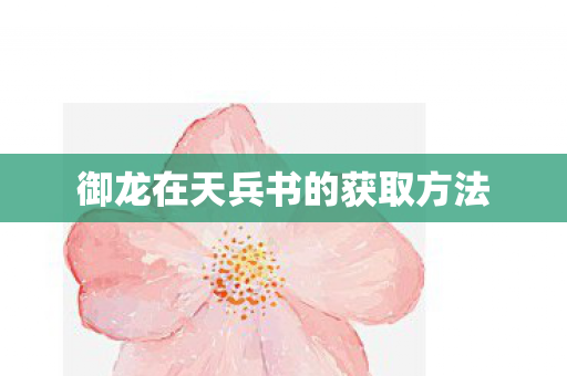 御龙在天兵书的获取方法