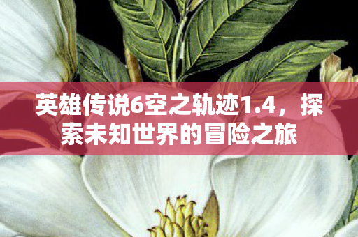 英雄传说6空之轨迹1.4，探索未知世界的冒险之旅