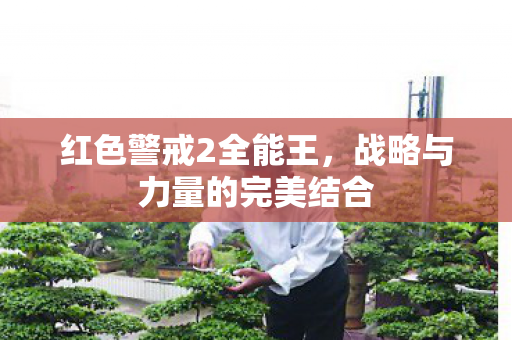 红色警戒2全能王，战略与力量的完美结合