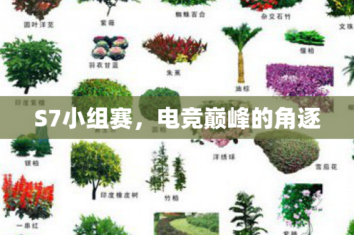 S7小组赛，电竞巅峰的角逐