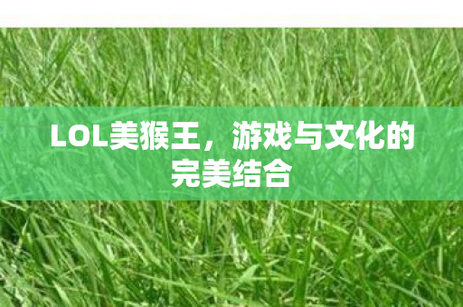 LOL美猴王，游戏与文化的完美结合