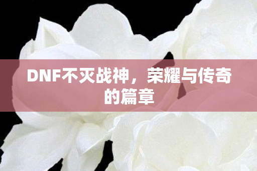 DNF不灭战神，荣耀与传奇的篇章
