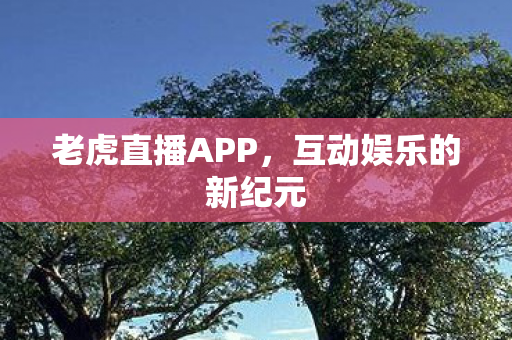 老虎直播APP，互动娱乐的新纪元