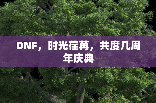 DNF，时光荏苒，共度几周年庆典