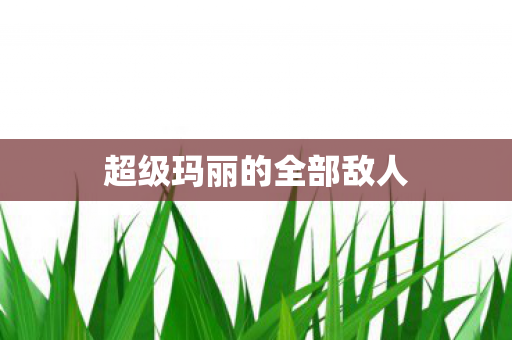 超级玛丽的全部敌人