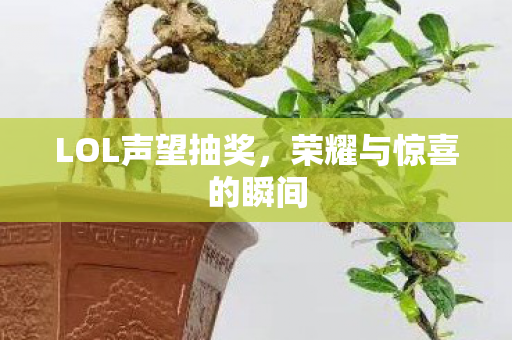 LOL声望抽奖，荣耀与惊喜的瞬间