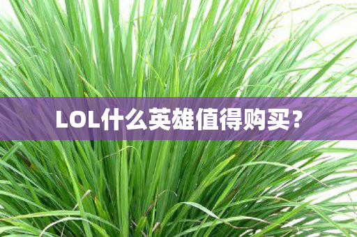 LOL什么英雄值得购买？