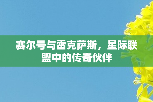 赛尔号与雷克萨斯，星际联盟中的传奇伙伴