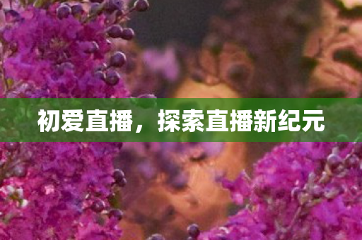 初爱直播，探索直播新纪元