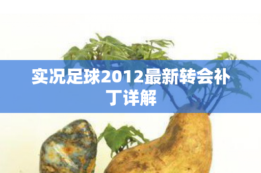 实况足球2012最新转会补丁详解