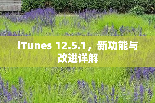 iTunes 12.5.1，新功能与改进详解