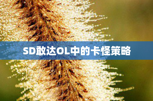 SD敢达OL中的卡怪策略