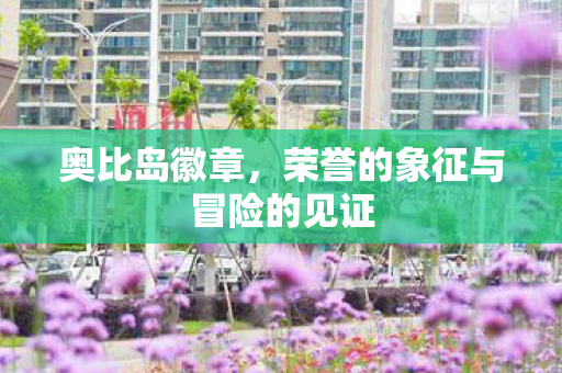 奥比岛徽章，荣誉的象征与冒险的见证