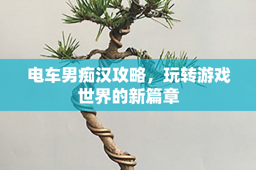 电车男痴汉攻略，玩转游戏世界的新篇章