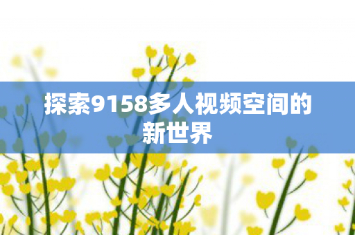 探索9158多人视频空间的新世界