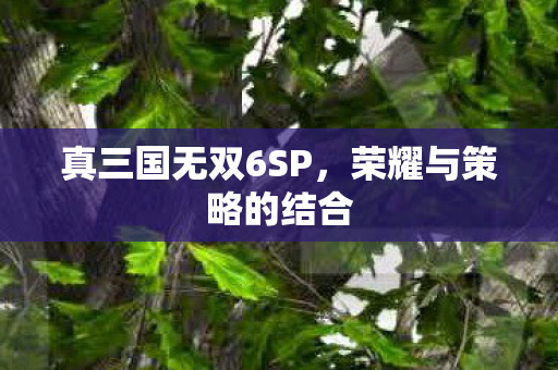 真三国无双6SP，荣耀与策略的结合