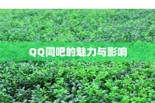 QQ同吧的魅力与影响