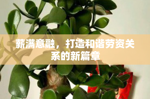 薪满意融，打造和谐劳资关系的新篇章