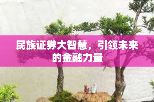 民族证券大智慧，引领未来的金融力量