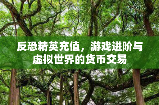 反恐精英充值，游戏进阶与虚拟世界的货币交易