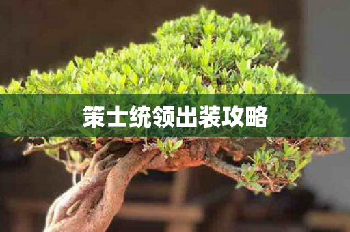 策士统领出装攻略