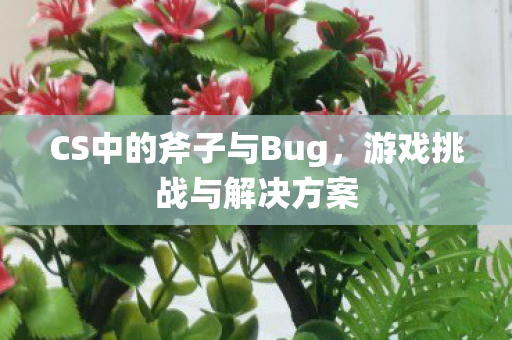 CS中的斧子与Bug，游戏挑战与解决方案