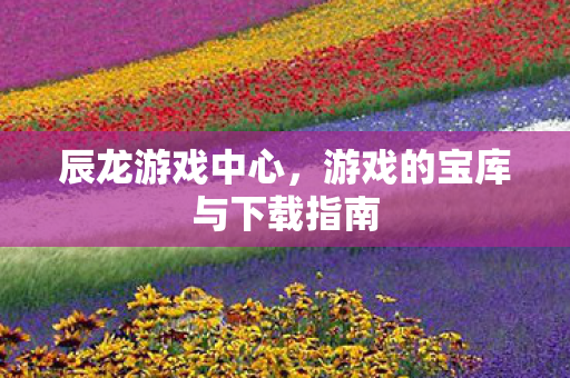 辰龙游戏中心，游戏的宝库与下载指南