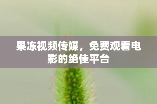 果冻视频传媒，免费观看电影的绝佳平台