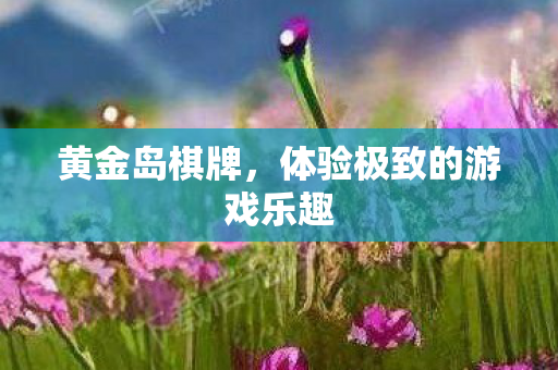 黄金岛棋牌，体验极致的游戏乐趣