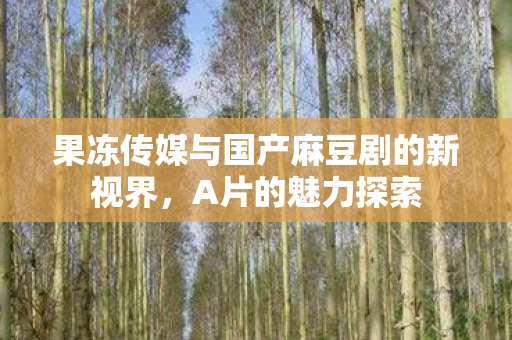 果冻传媒与国产麻豆剧的新视界，A片的魅力探索