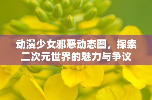 动漫少女邪恶动态图，探索二次元世界的魅力与争议