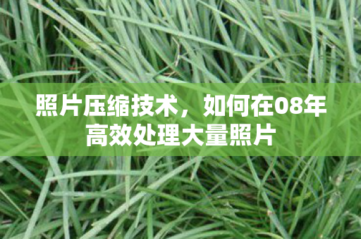 照片压缩技术,如何在08年高效处理大量照片 照片压缩技术,如何在08年高效处理大量照片