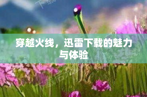 穿越火线，迅雷下载的魅力与体验