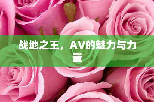 战地之王，AV的魅力与力量