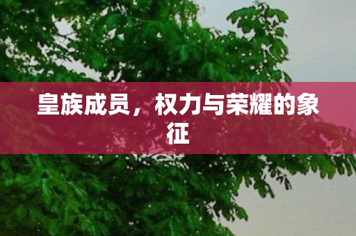 皇族成员，权力与荣耀的象征