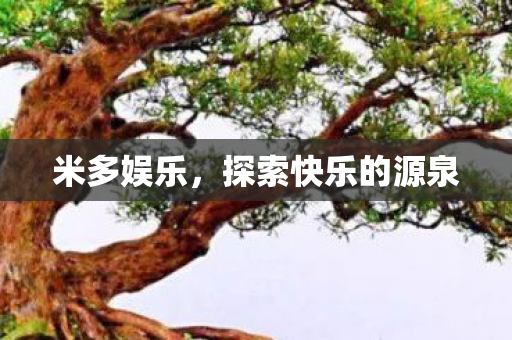 米多娱乐，探索快乐的源泉