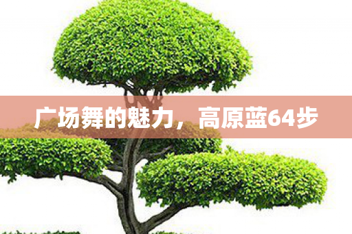 广场舞的魅力，高原蓝64步