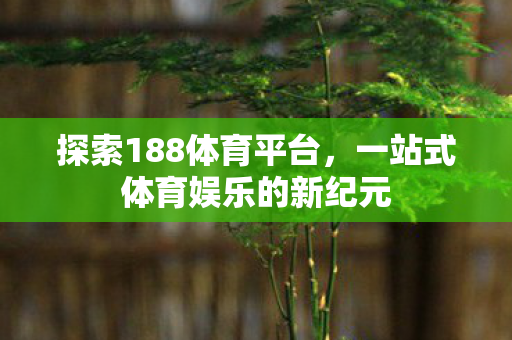 探索188体育平台，一站式体育娱乐的新纪元