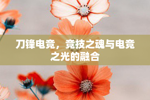 刀锋电竞，竞技之魂与电竞之光的融合