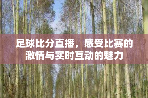 足球比分直播，感受比赛的激情与实时互动的魅力