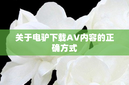 关于电驴下载AV内容的正确方式