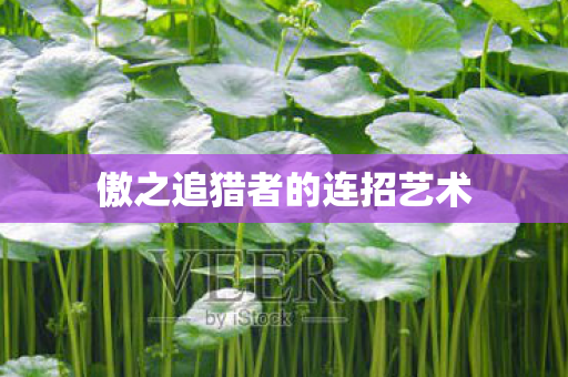 傲之追猎者的连招艺术