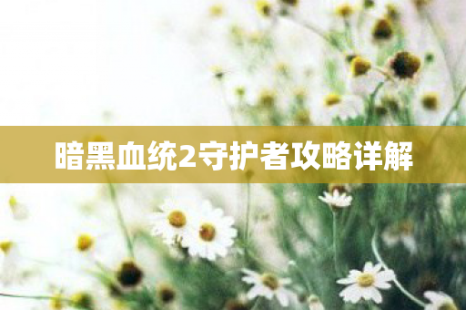 暗黑血统2守护者攻略详解