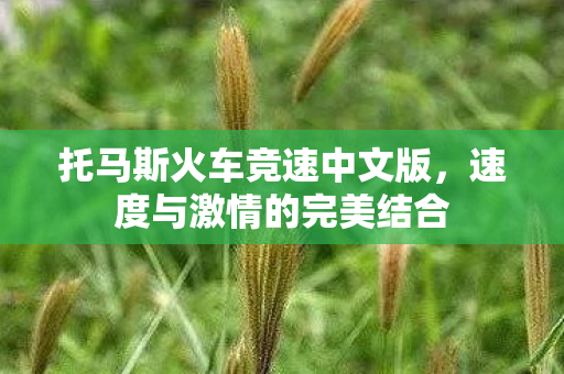 托马斯火车竞速中文版，速度与激情的完美结合